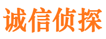 青县外遇出轨调查取证